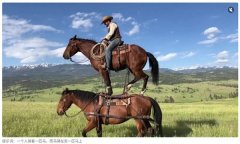 2025年央视中秋晚会节目单发布三大篇章30余节目